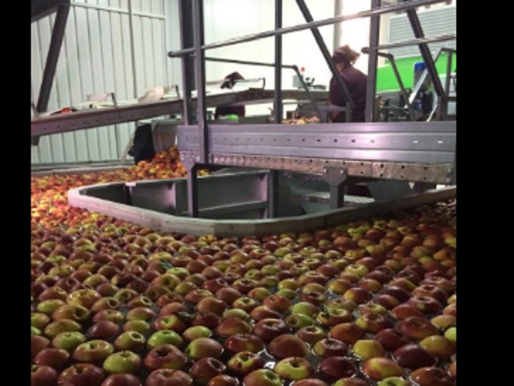 Гройсман на Тернопільщині перевірив, як зберігають яблука - фото 2