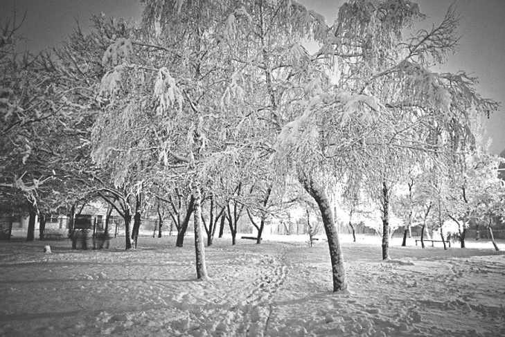До Бердянська прийшла справжня зима  - фото 4