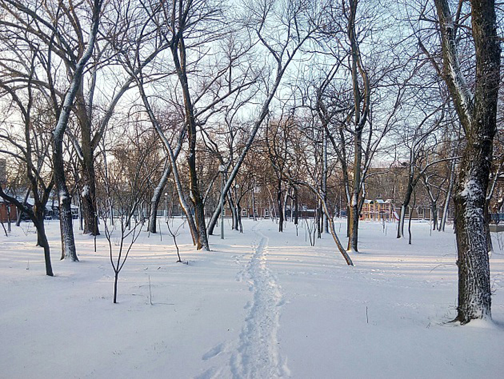 До Бердянська прийшла справжня зима  - фото 6
