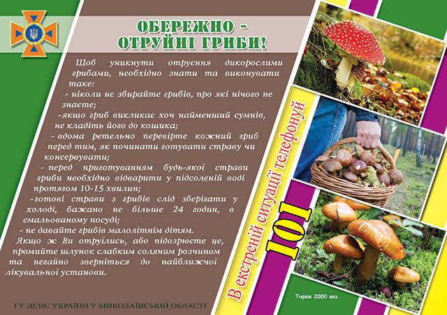 За чотири дні на Миколаївщині є два випадки отруєння грибами