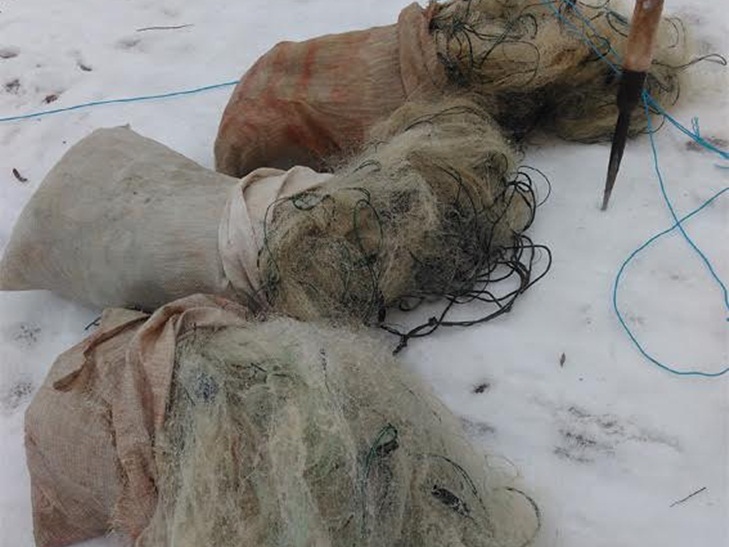 На Кропивниччині незаконно наловили риби більш ніж на 20 тисяч - фото 1