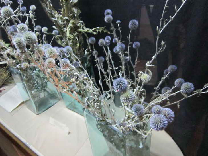 У Запорізькому музеї експонують чаклунські рослини й діляться магічними рецептами XVII-XVIII сторіч - фото 3