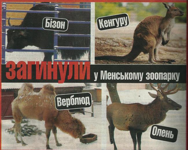 У зоопарку на Чернігівщині масово мруть благородні тварини - фото 1