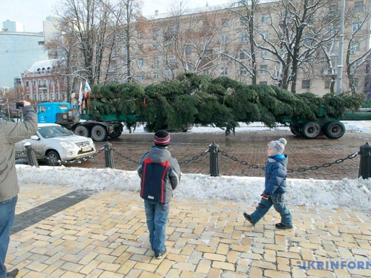 Вантажівка КрАЗ привезла головну ялинку країни до Києва - фото 1