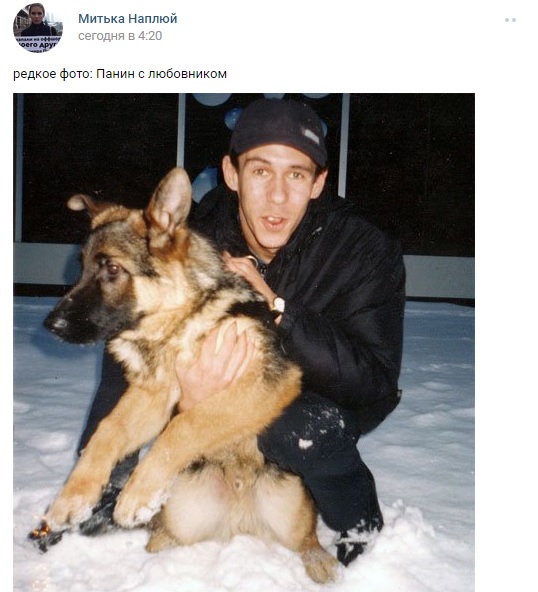 Панін та собака: соцмережі жорстоко тролять вподобання улюбленця Путіна - фото 5