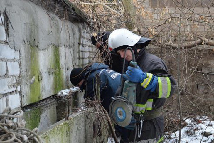 У центрі Дніпра четверо рятівників вирізали собаку з паркану - фото 1