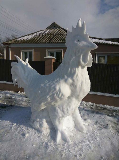 На Київщині "оселився" гігантський сніговий півень  - фото 1