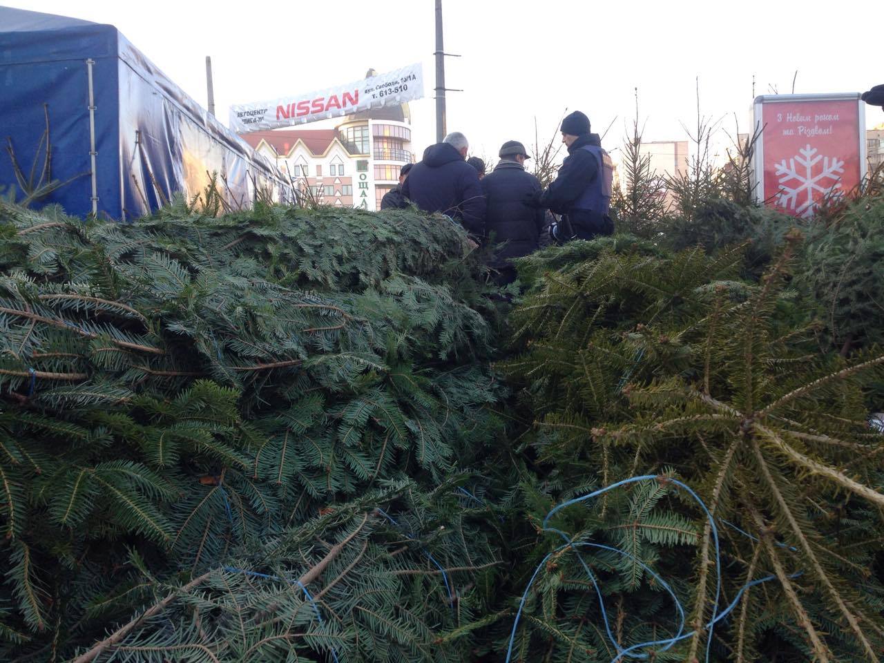 В Хмельницькому почалися рейди ялинковими базарами - фото 1 В Хмельницькому почалися рейди ялинковими базарами - фото 1