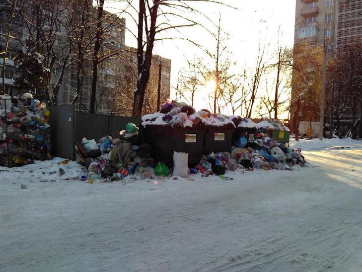 Гори сміття у Львові сягають другого поверху будинків (ВІДЕО, ФОТО) - фото 2