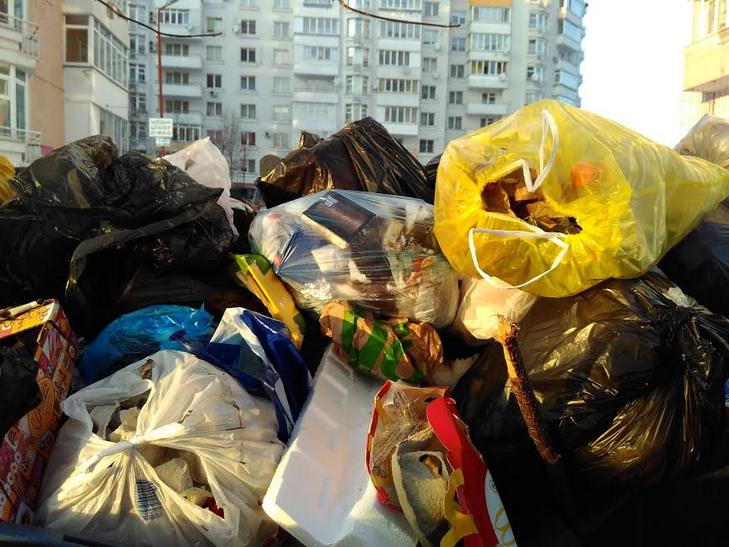 Гори сміття у Львові сягають другого поверху будинків (ВІДЕО, ФОТО) - фото 3