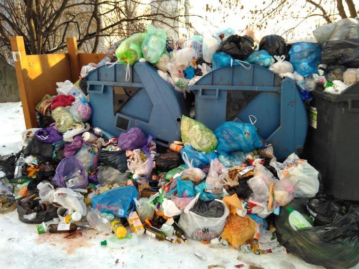 Гори сміття у Львові сягають другого поверху будинків (ВІДЕО, ФОТО) - фото 4