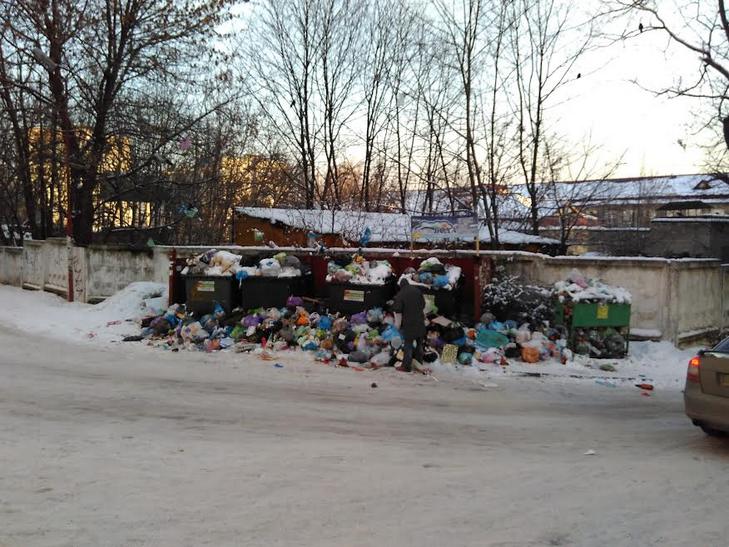 Гори сміття у Львові сягають другого поверху будинків (ВІДЕО, ФОТО) - фото 6