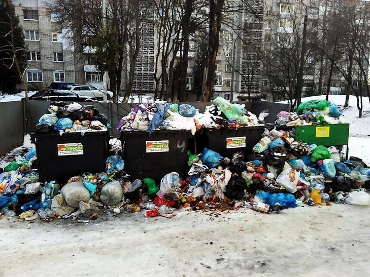 Як сніг оголив сміття Садового у Львові (ВІДЕО, ФОТО) - фото 1