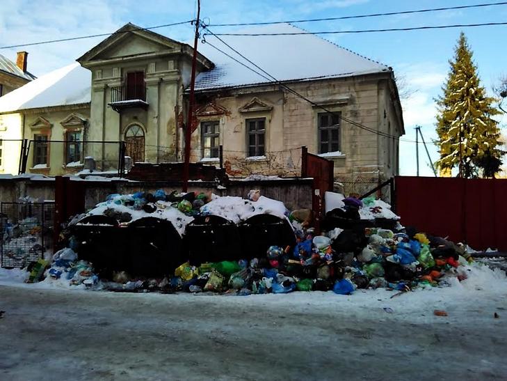 Як сніг оголив сміття Садового у Львові (ВІДЕО, ФОТО) - фото 5