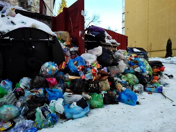 Як сніг оголив сміття Садового у Львові (ВІДЕО, ФОТО) - фото 6