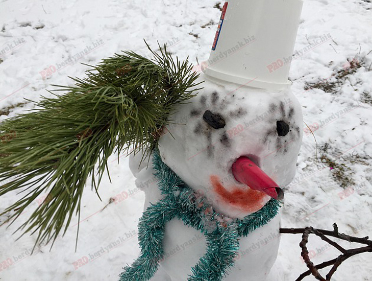 Парад сніговиків у Бердянську - фото 1