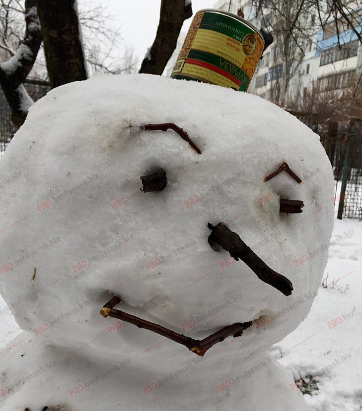 Парад сніговиків у Бердянську - фото 6