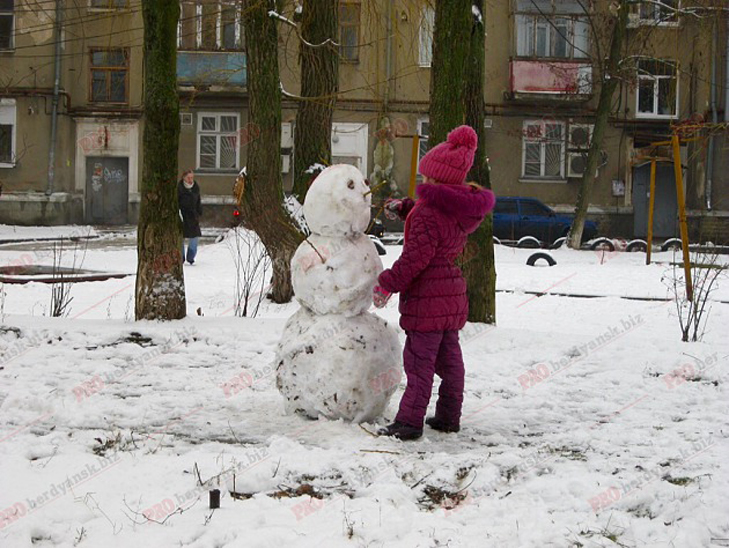 Парад сніговиків у Бердянську - фото 9