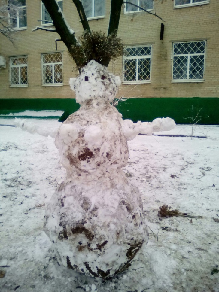 У спільноті Типовий Мелітополь городяни влаштували справжній флешмоб: хизуються першими сніговиками цієї зими - фото 2