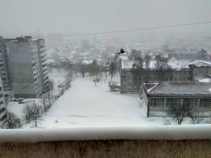 Львів продовжує засипати снігом. Місто безлюдне (ВІДЕО, ФОТО) - фото 4