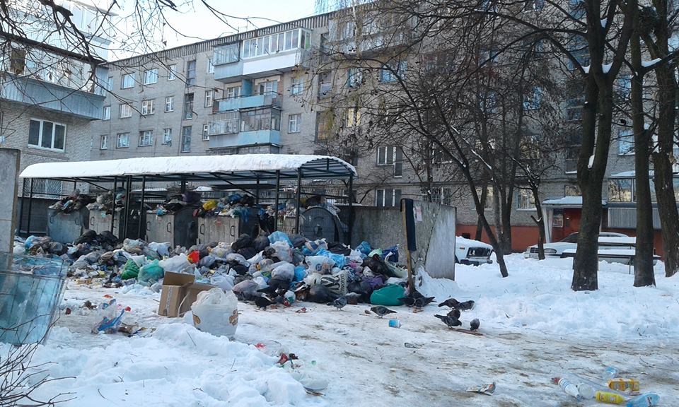 Як Львів завалило сміттям (ФОТО) - фото 2