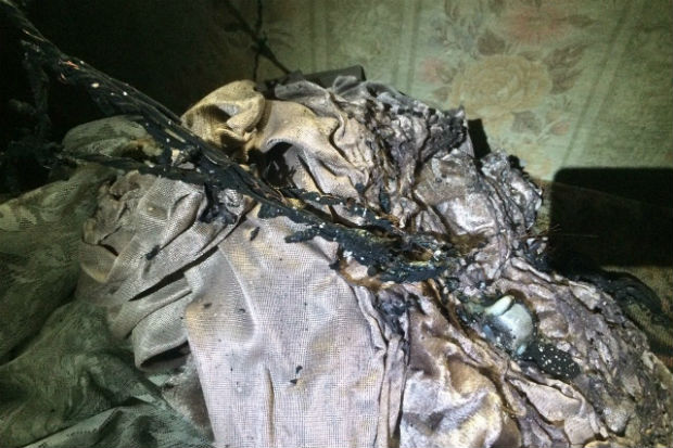 На Харківщині під час пожежі загинули двоє дітей (ФОТО) - фото 2