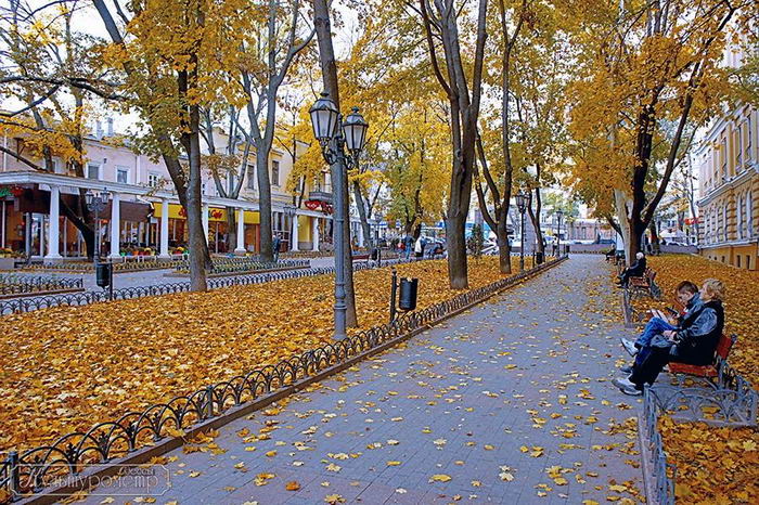 Одеський міський сад відзначав 210-річчя (ФОТО) - фото 2