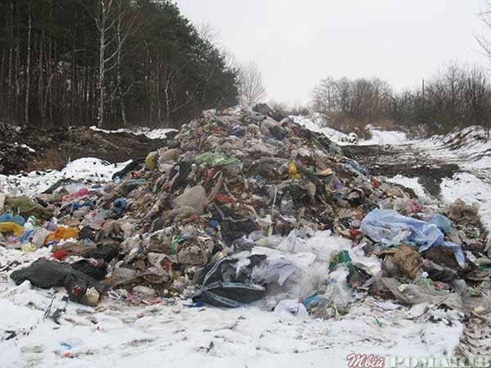 На Житомирщину знову приїхало сміття Садового - фото 1
