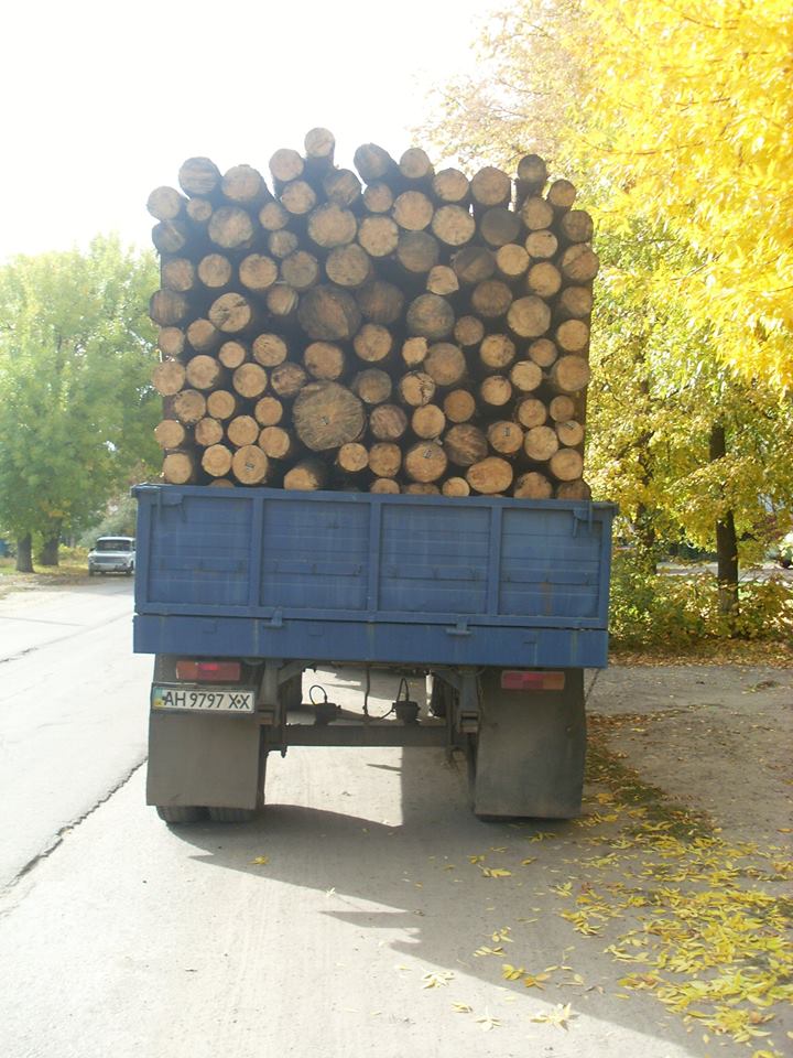 На Луганщині виявили понад 200 фактів незаконного перевезення та вирубки деревини (ФОТО) - фото 10