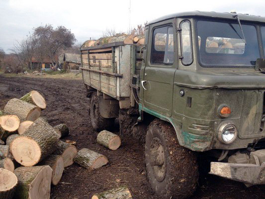 На Харківщині суд заарештував вантажівку з незаконно вивезеною деревиною - фото 1