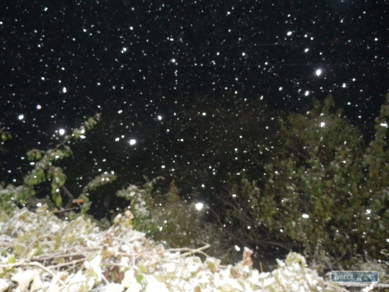 На Одещині вночі випав сніг (ФОТО) - фото 1