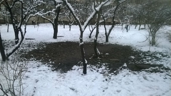 Енергозбереження по-київськи: Теплотраси розтоплюють сніг  - фото 1