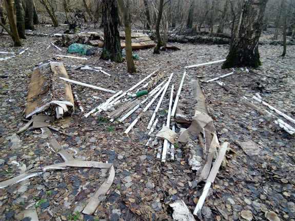 У лісі під Києвом знайшли незаконне звалище ламп з ртуттю  - фото 1