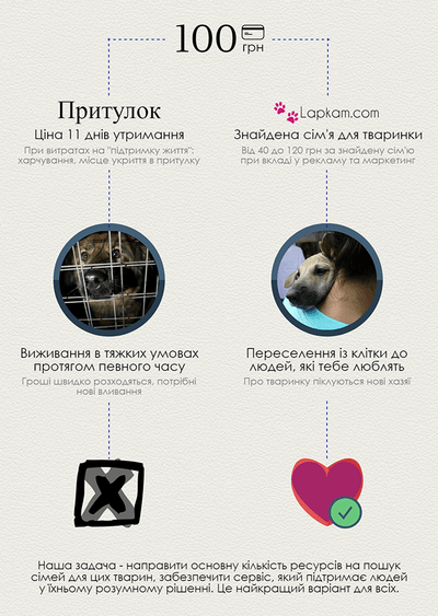 Вінницькі студенти створили систему онлайн-пошуку домашніх тварин у притулках  - фото 2
