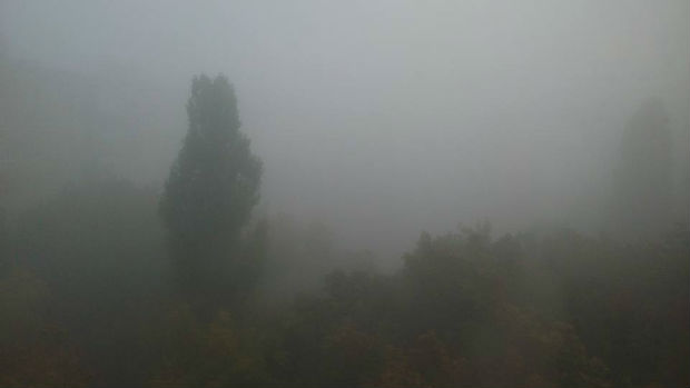 Харків вкрив надзвичайно густий туман - фото 7