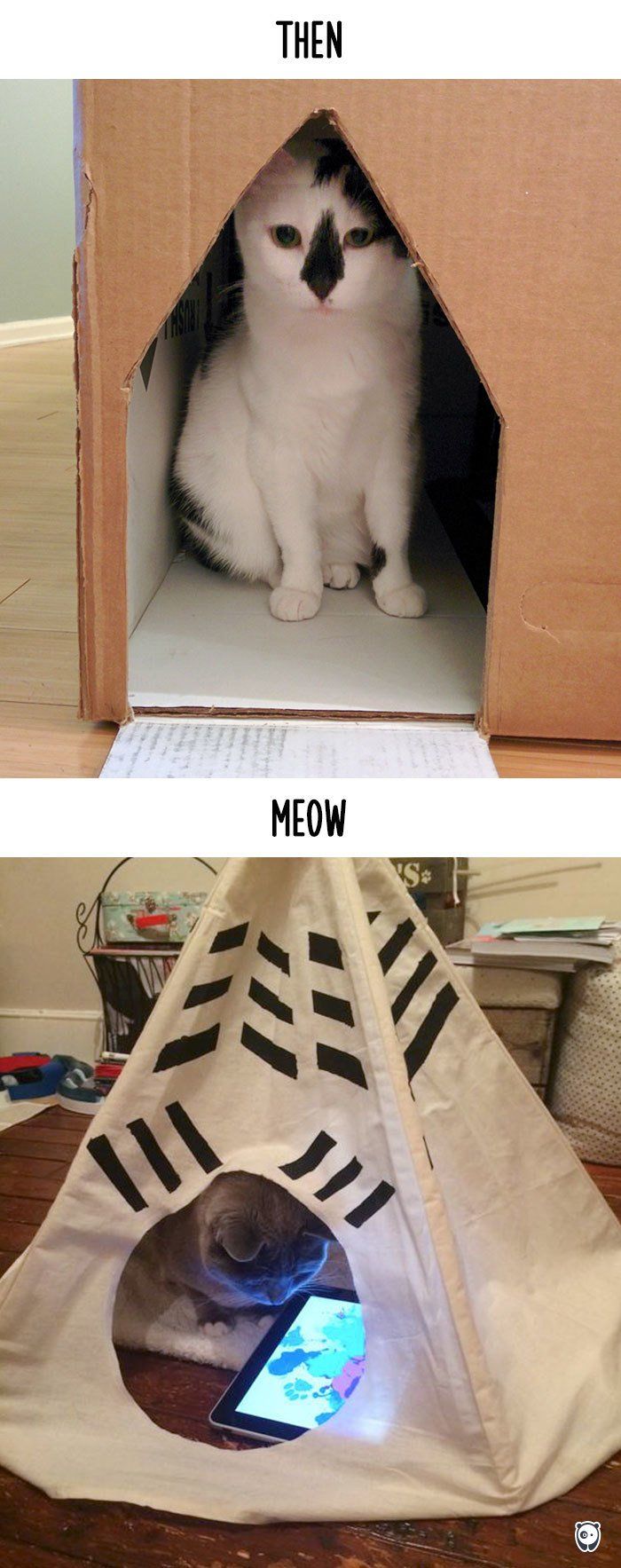Як змінилось життя котів з появою гаджетів - фото 3