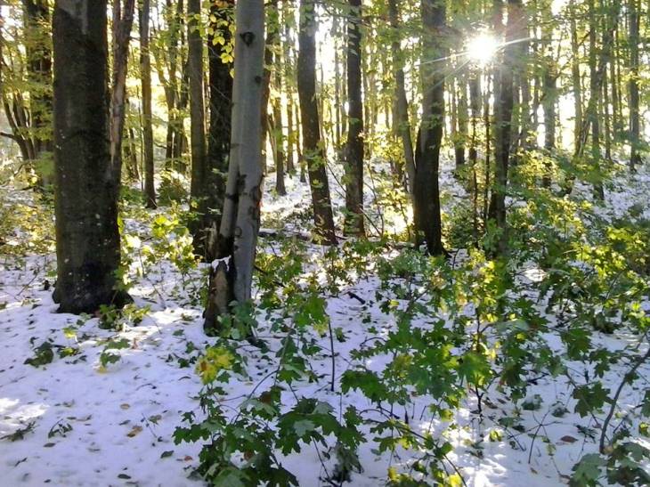 В околицях Ужгорода можна вже зліпити снігову бабу - фото 2