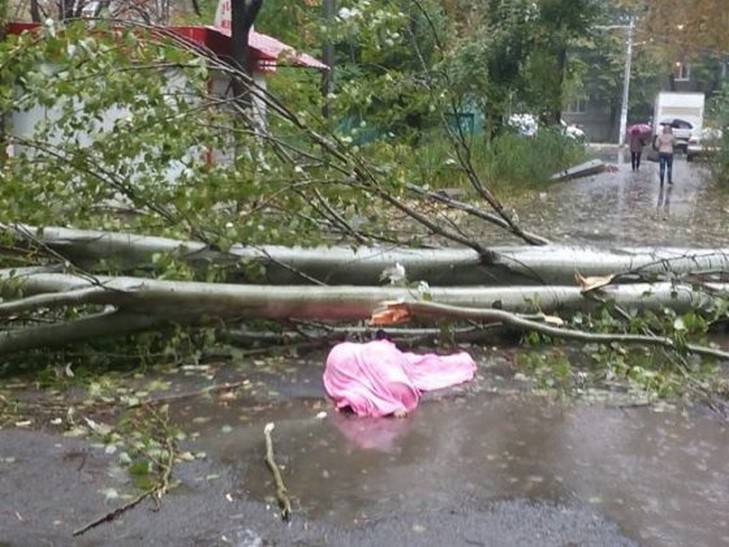 В Одесі жінку придавило деревом, в результаті чого вона загинула (ФОТО) - фото 1