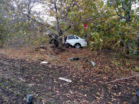 На Миколаївщині Lifan зім'яло об дерево: водій загинув
