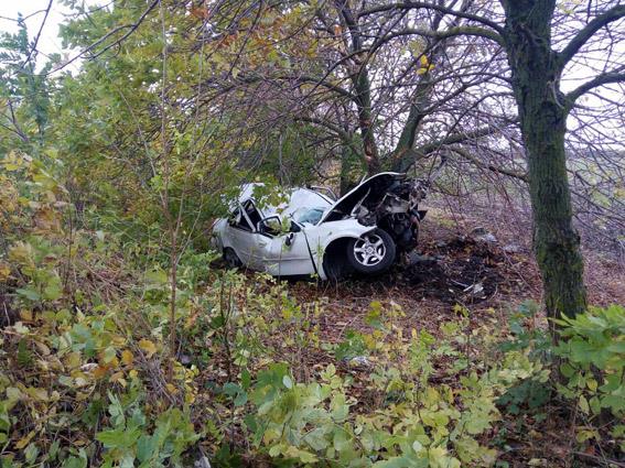 На Миколаївщині Lifan зім'яло об дерево: водій загинув