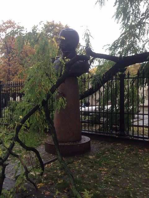 У Миколаєві сухе дерево ледь не завалило погруддя адмірала Корнілова - фото 2