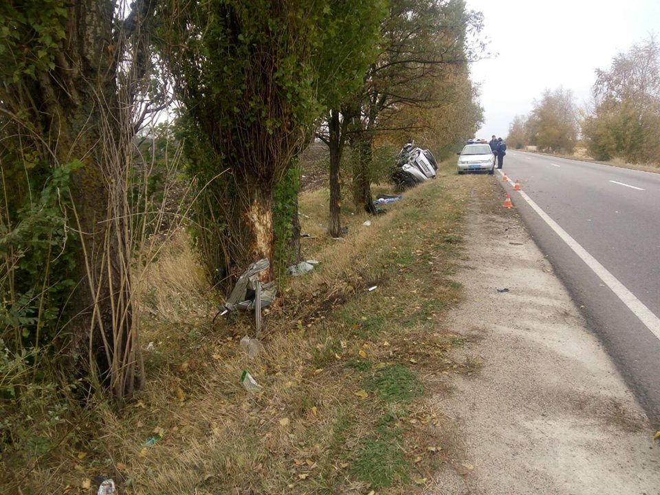 На Миколаївщині Scoda влетіла в дерево: водій загинув на місці ДТП