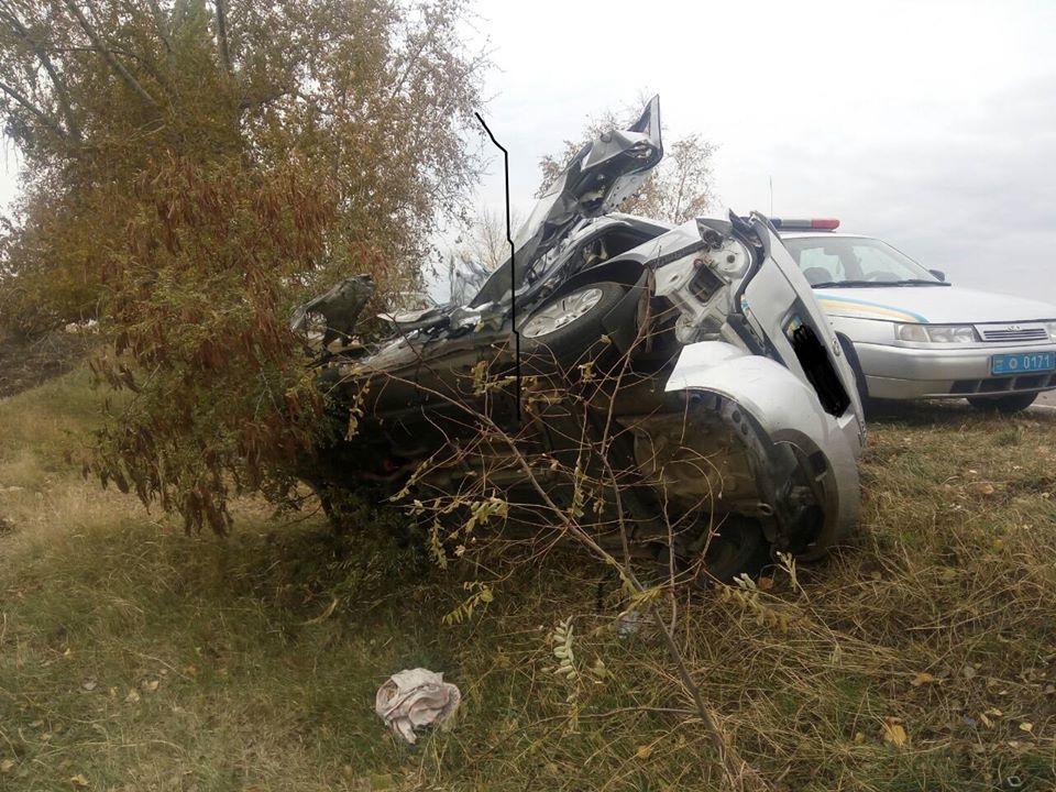 На Миколаївщині Scoda влетіла в дерево: водій загинув на місці ДТП