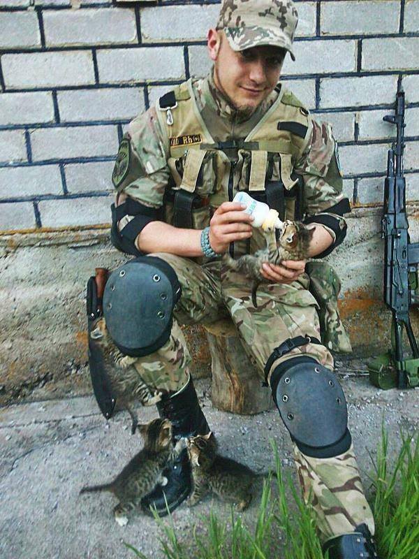 За що треба поставити пам'ятник котам в АТО - 11 - фото 7 За що треба поставити пам'ятник котам в АТО - 11 - фото 7