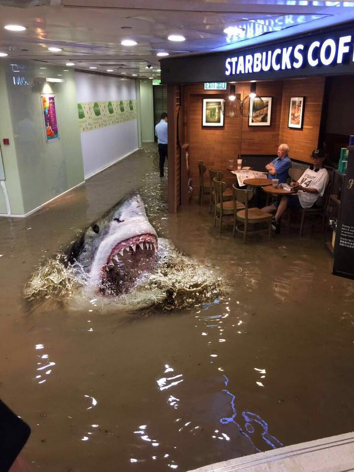 "Дядечко Старбакс": чоловік залишився допивати каву в затопленому торговому центрі - фото 2