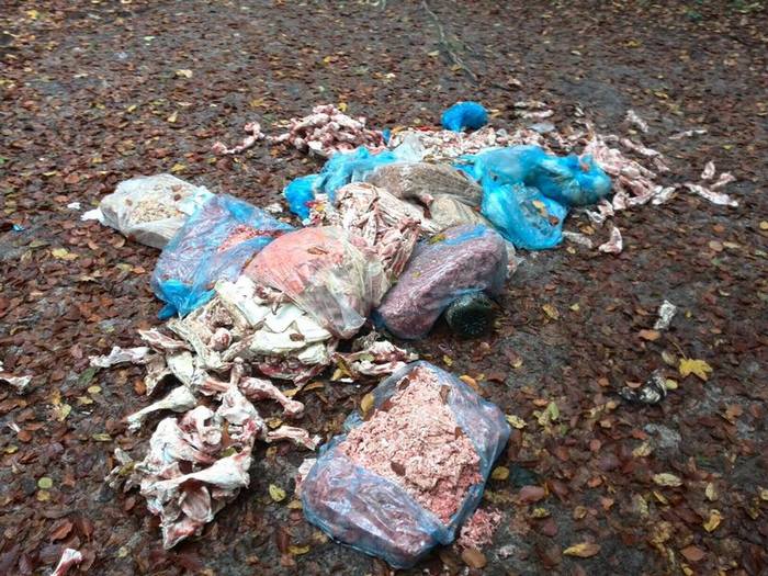 Біля львівського цвинтаря знайдено купи м'яса (ФОТО) - фото 1