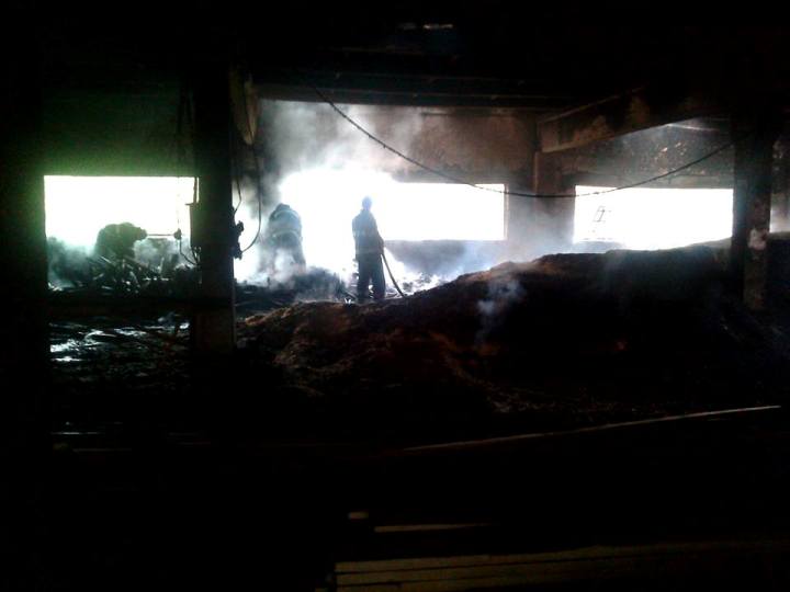 На Воловеччині під час пожежі на заводі загинув чоловік (ФОТО, ВІДЕО) - фото 1