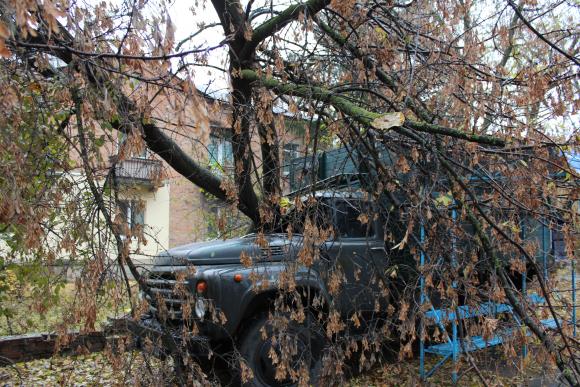 У Вінниці на зупинку громадського транспорту і припарковану машину впало дерево - фото 3