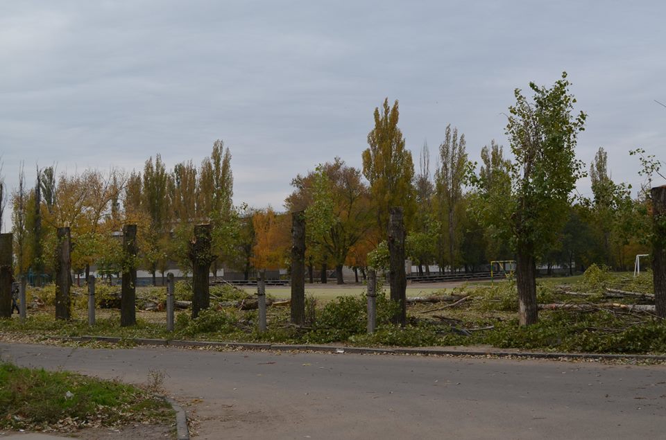 У Миколаєві біля шкли масово кронують дерева