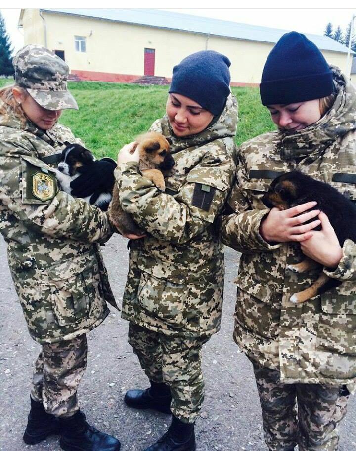 Чим займаються на Донбасі найкращі друзі бійців АТО - 10 - фото 2 Чим займаються на Донбасі найкращі друзі бійців АТО - 10 - фото 2